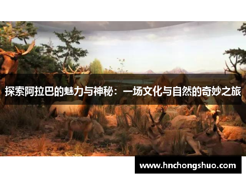 探索阿拉巴的魅力与神秘：一场文化与自然的奇妙之旅